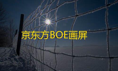 三角洲外挂网站入口京东方BOE画屏